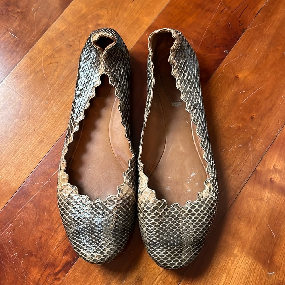 Snakeskin Chloe Flats